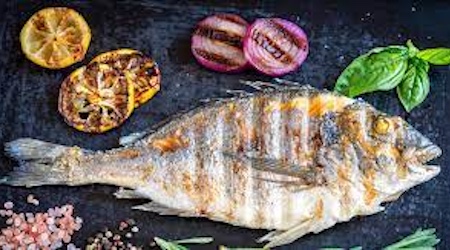 Poissons de mer