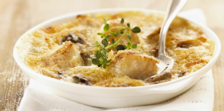Gratin de Saint-Jacques
