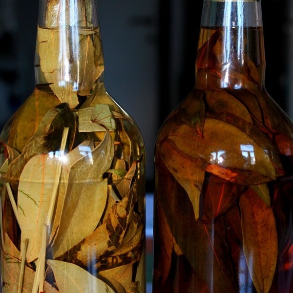 Rhum arrangé bois bandé