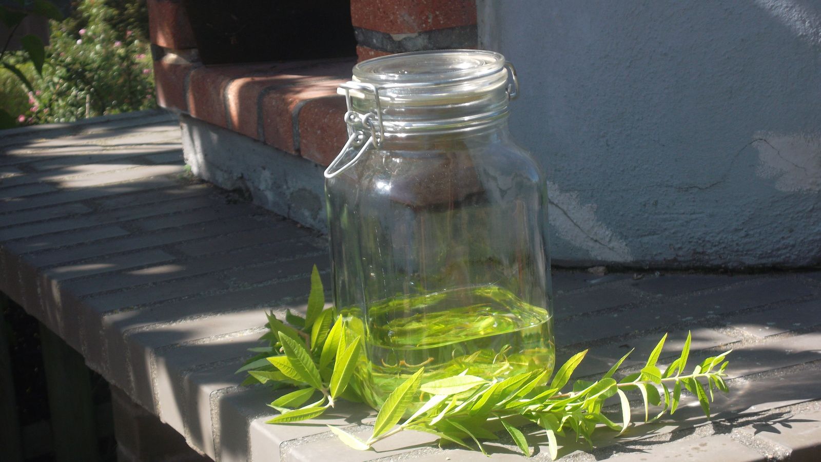 Liqueur de verveine