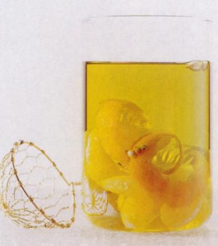 Huile de mandarine et mandarines confites