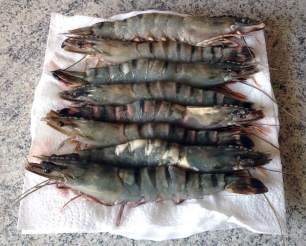 Gambas au curry et risotto